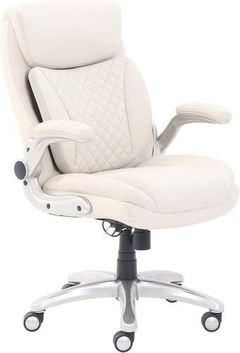 Executive ergonomic office - ergonomic,